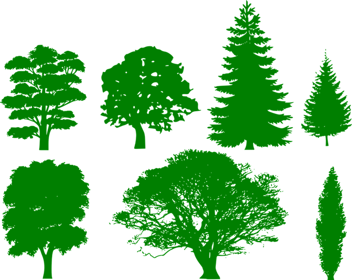 Various tree shape silhouettes